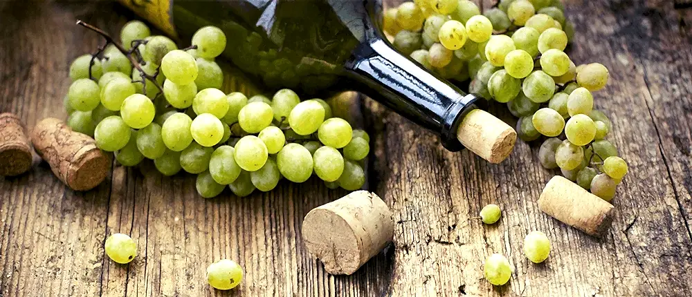 Tematik Mutfak Etkinlikleri