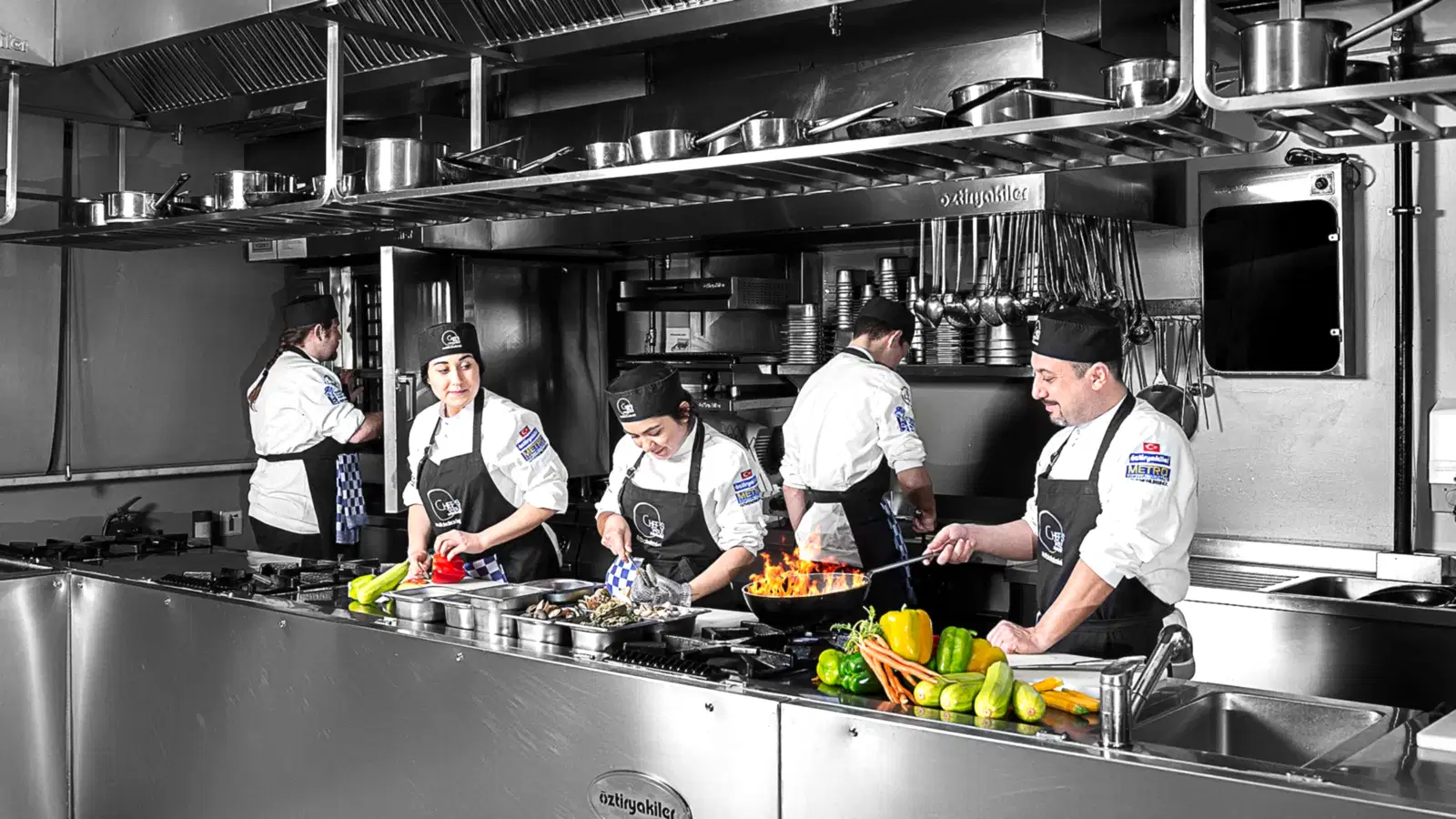 PROFESYONEL EĞİTİMLER