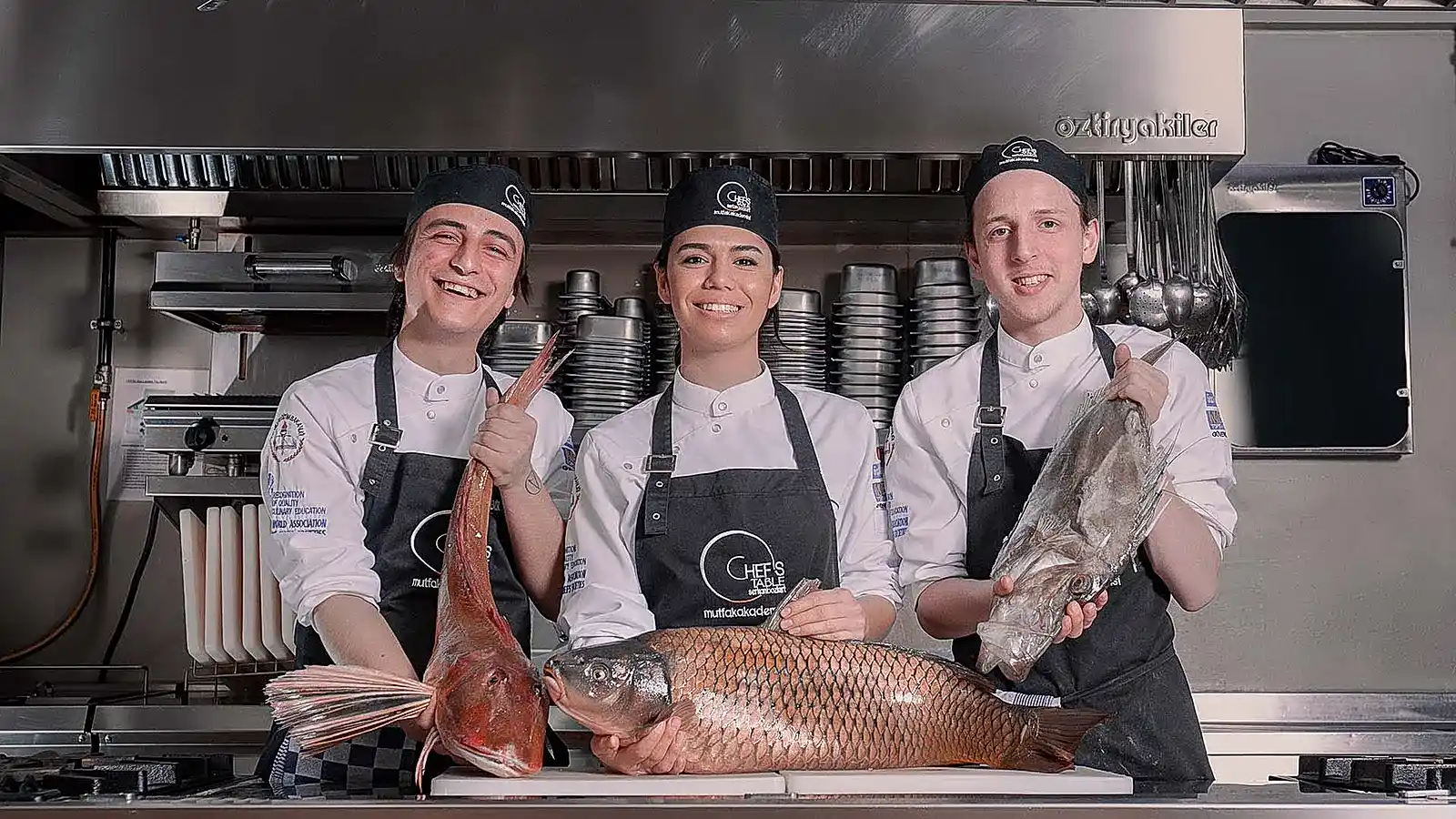 Profesyonel Aşçılık