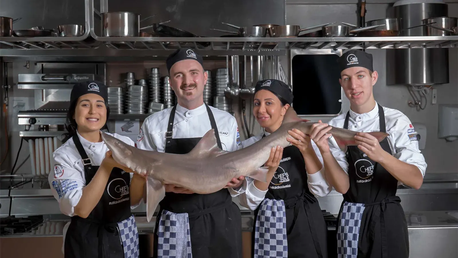 Profesyonel Stajsız Aşçılık