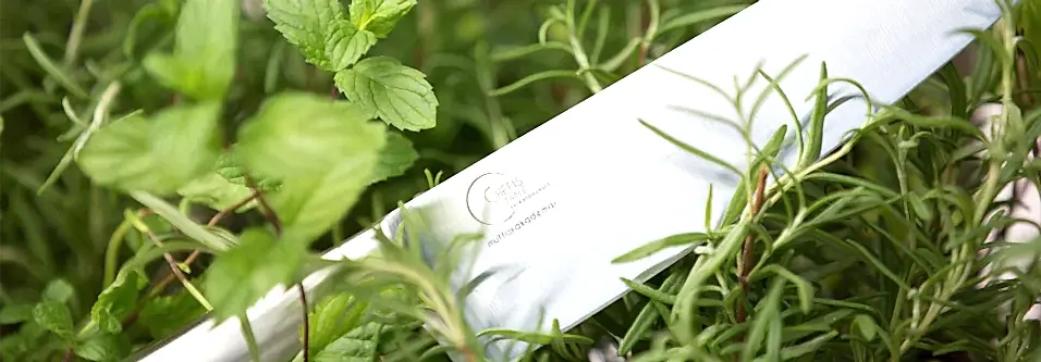 Chef's Table Mutfak Akademisi